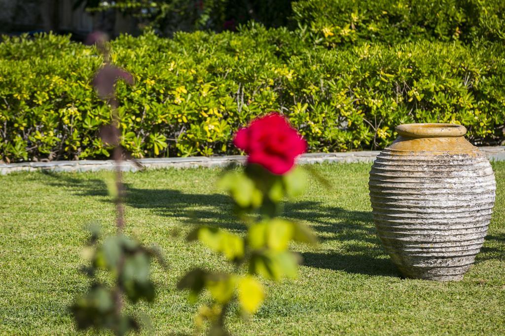 Olive Grove Studios & Apartments Svoronata Esterno foto